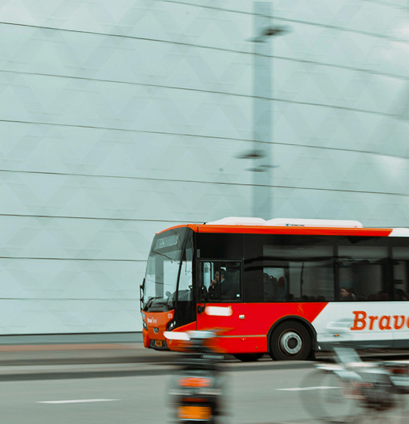 Transport to and from Tolo