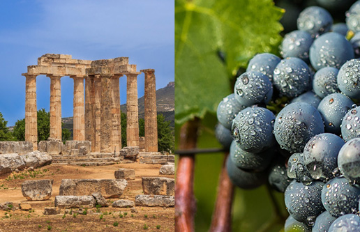 Ancient Nemea & Nemean Wine Tasting